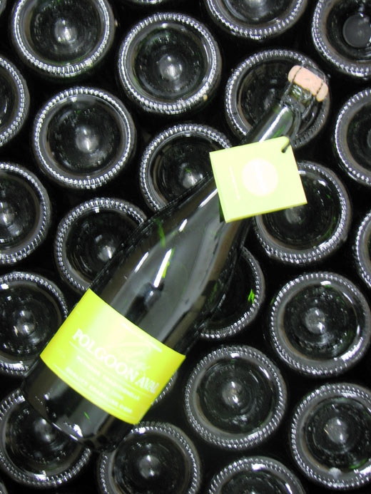 Booze Polgoon Cider1