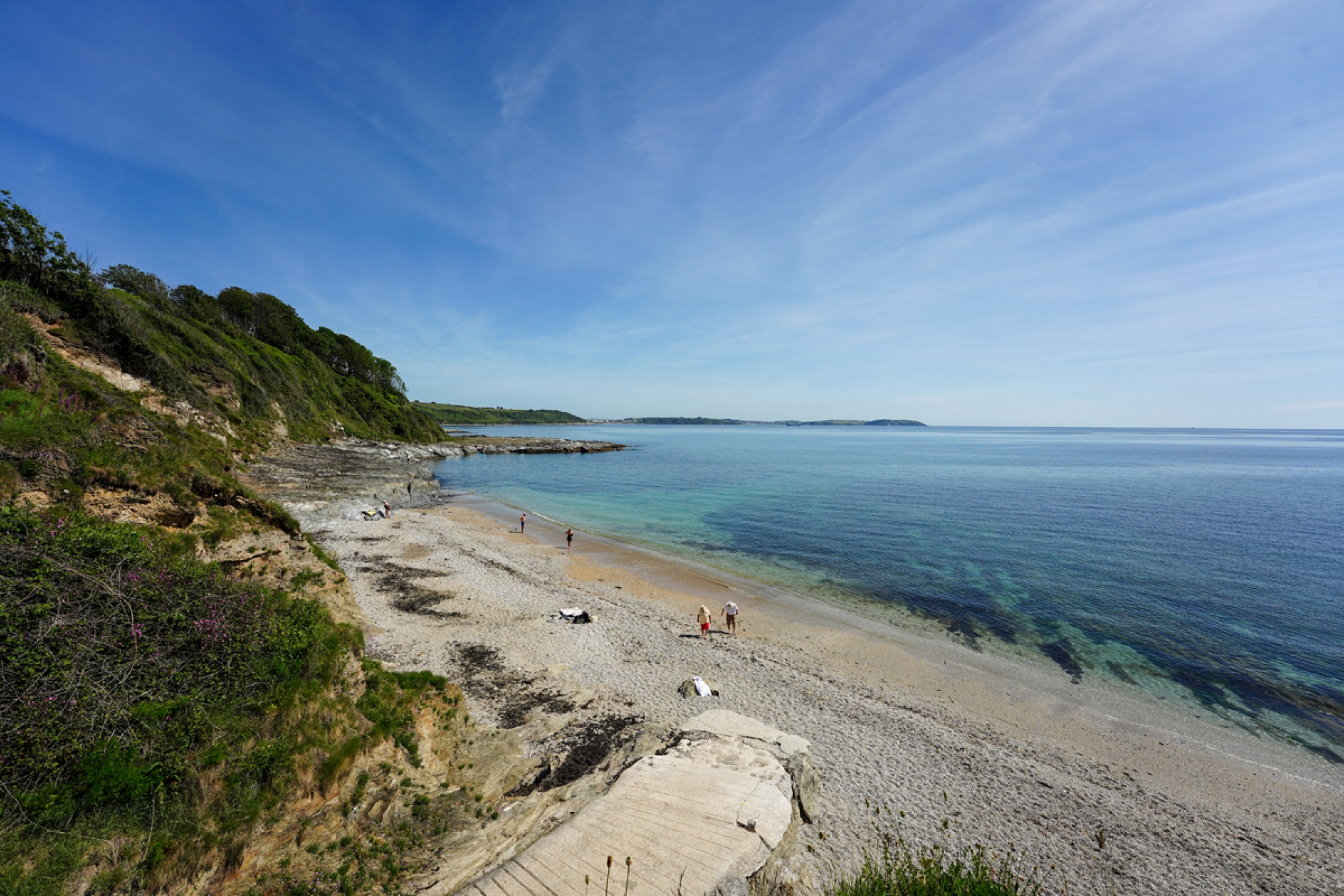 BreamCovec.LeeSearle