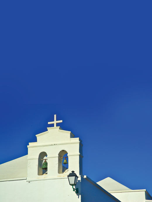 Canaries 2449141 High