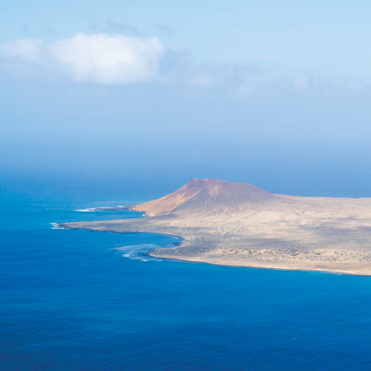 Canaries 2561111 High