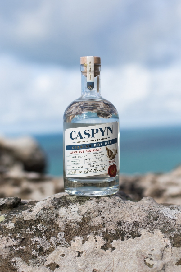 Caspyn Gin Web