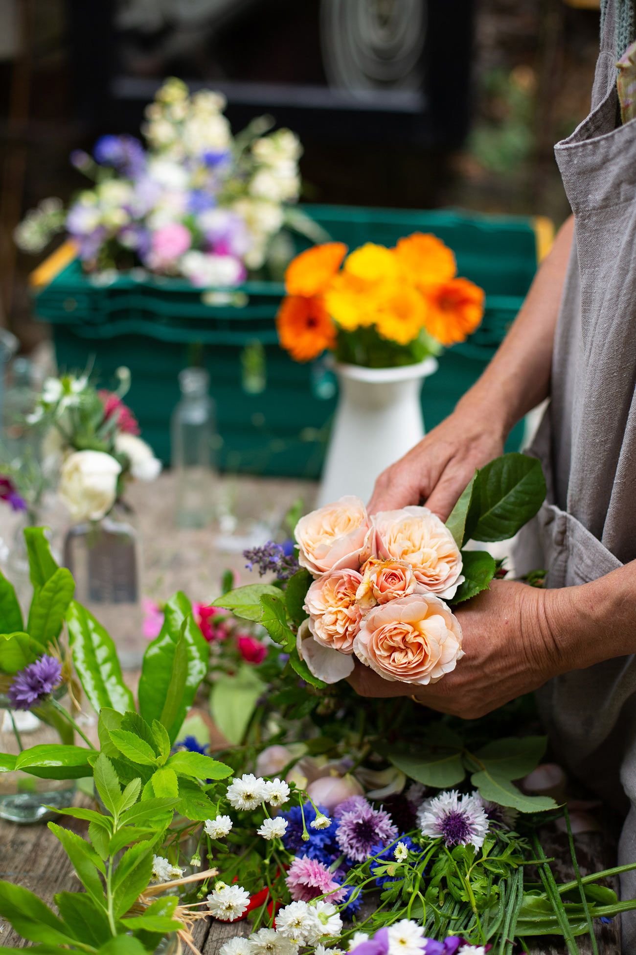 Cutting Garden 2