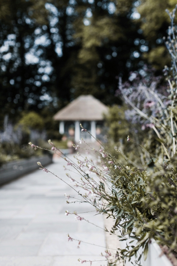 Deer Park Aug Shoot 200web Size