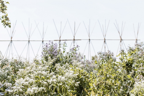 Deer Park Gardens 105High Res