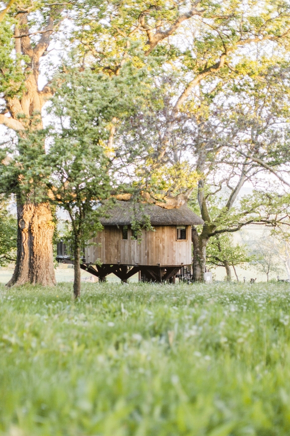 Deer Park The Tree House 1High Res