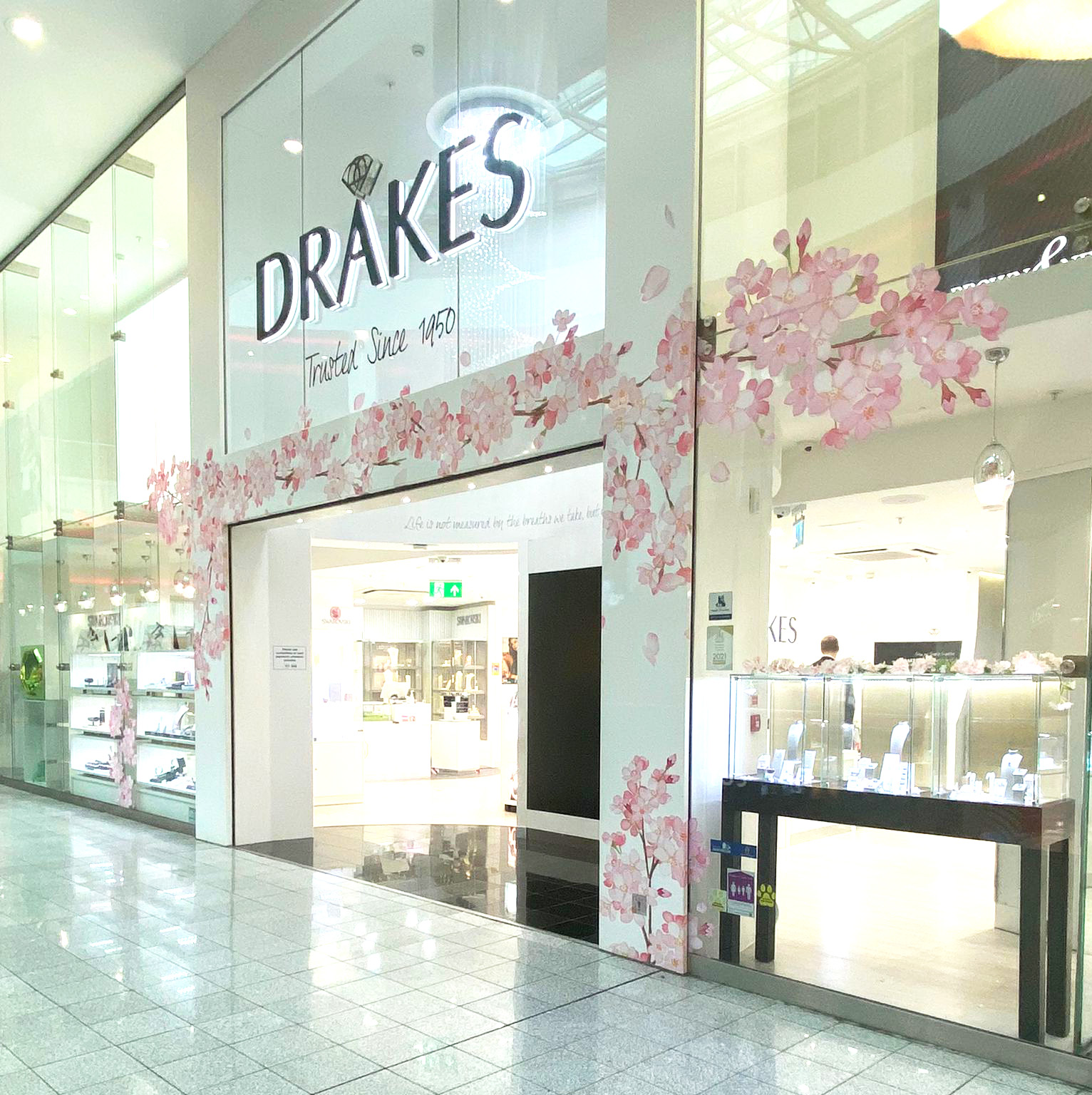 Drakescherryblossom2023