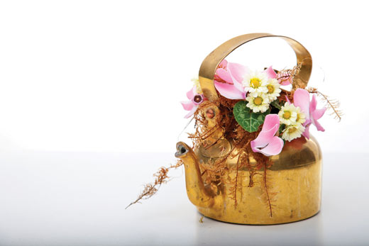 ECO BRIotography 4064