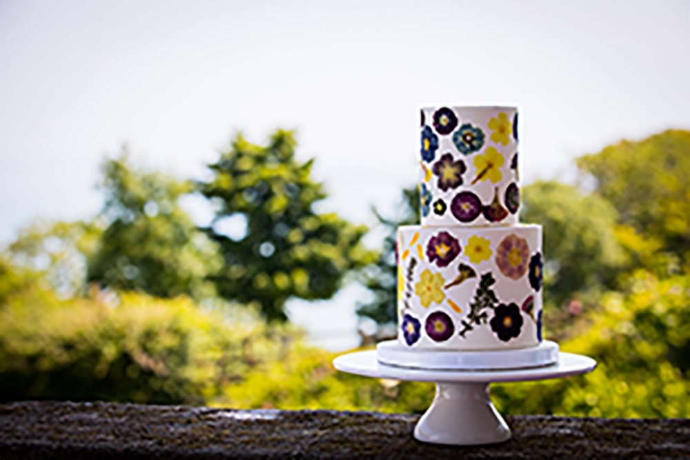 FREEFORM IMAGES Image5