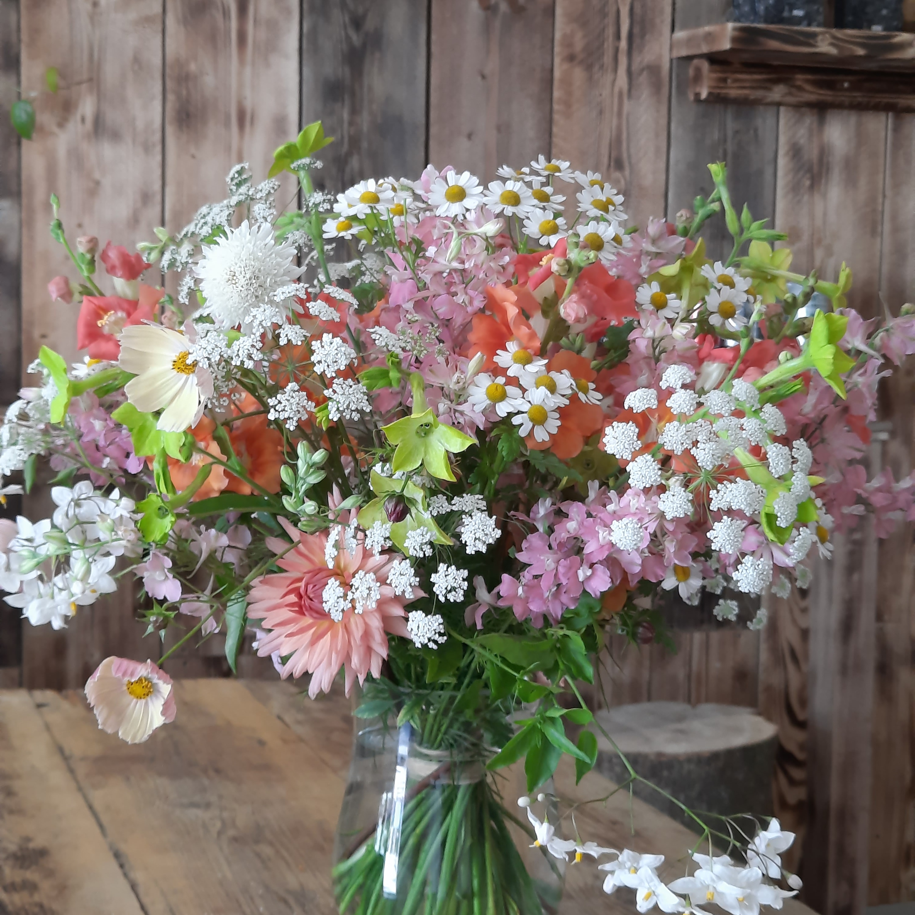 IMG 20220112 124609 781