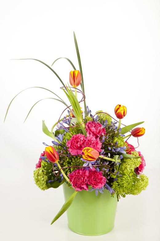 LEMON LIME PINK ORANGE Wed 