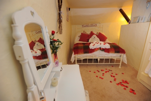 LITTLEOWL JimW LittleOwl1