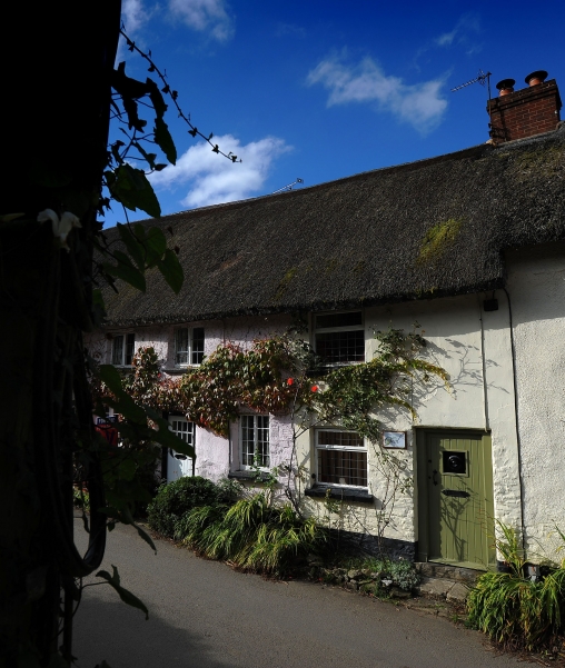 LITTLEOWL JimW LittleOwl12