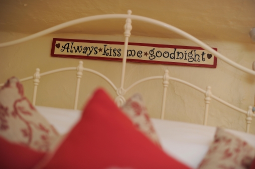 LITTLEOWL JimW LittleOwl6