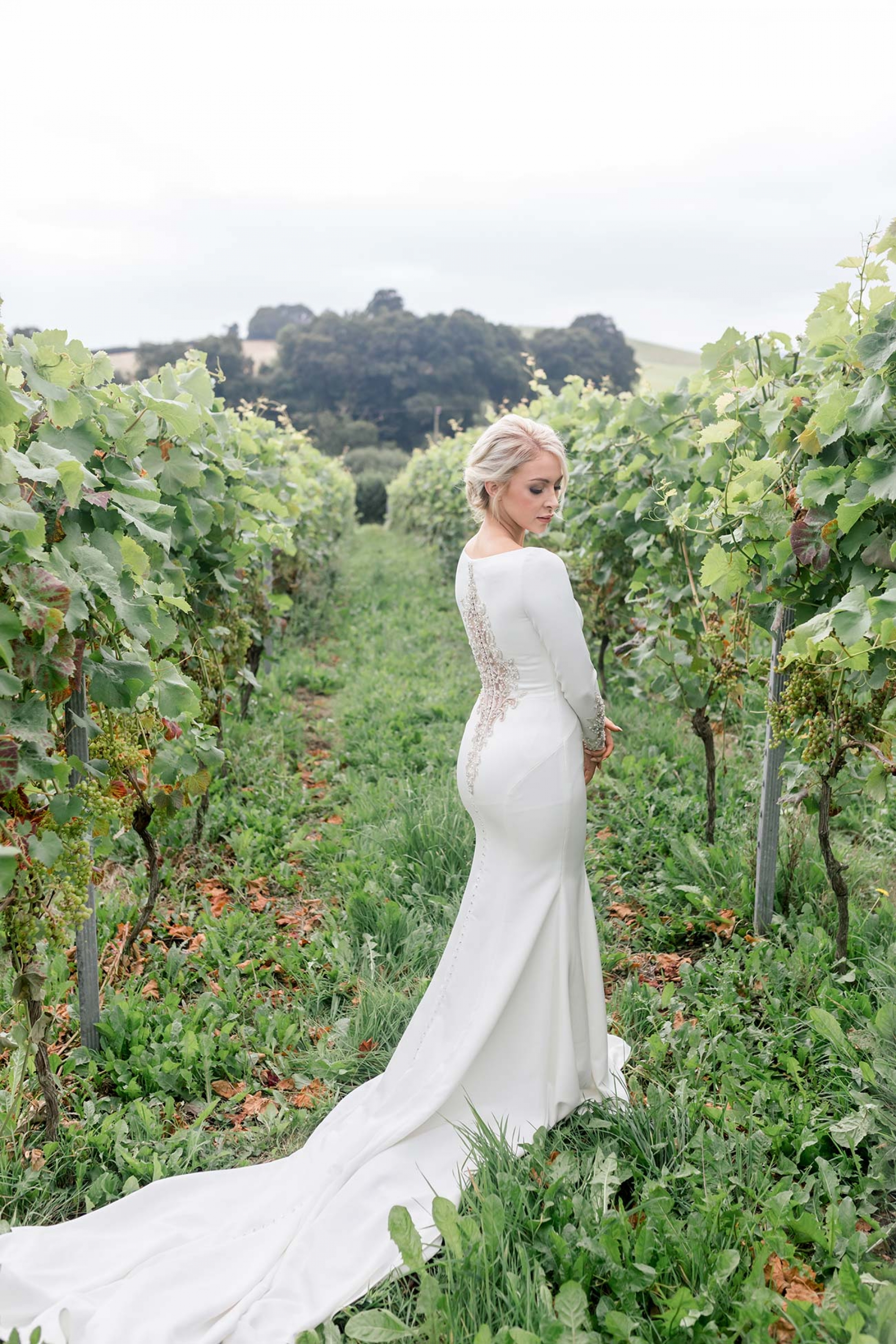 LuxuryVineyardShoot 19