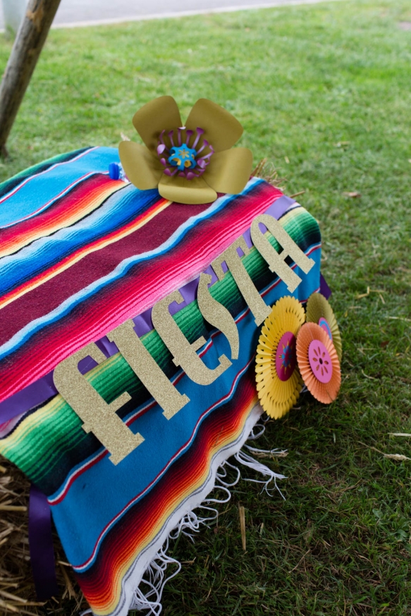 Mexicanfiestastylewedding(4of42)