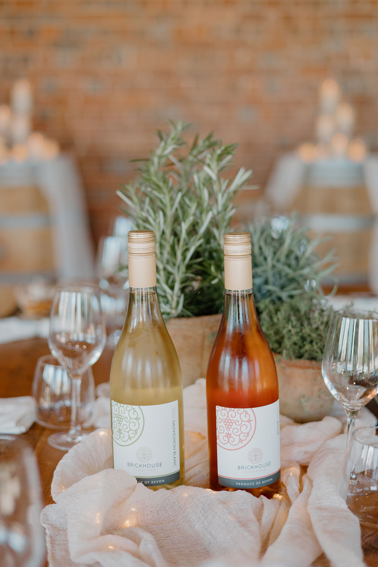 MimosaPhotography 335