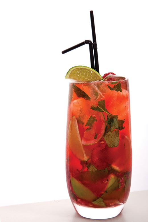 RASPBERRY MOJITO BenPhotogr