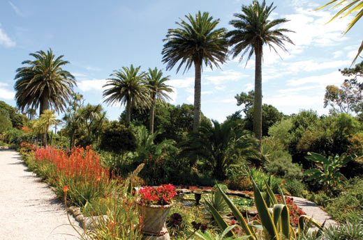 SCILLY Abbey Gardens 03