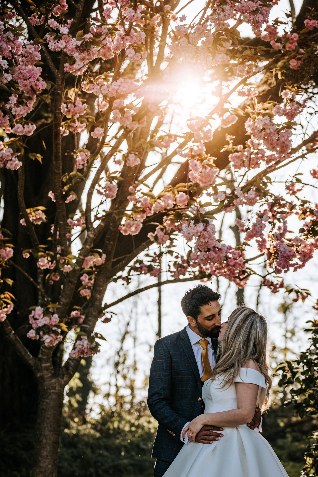 TredudwellSpecialoffer2