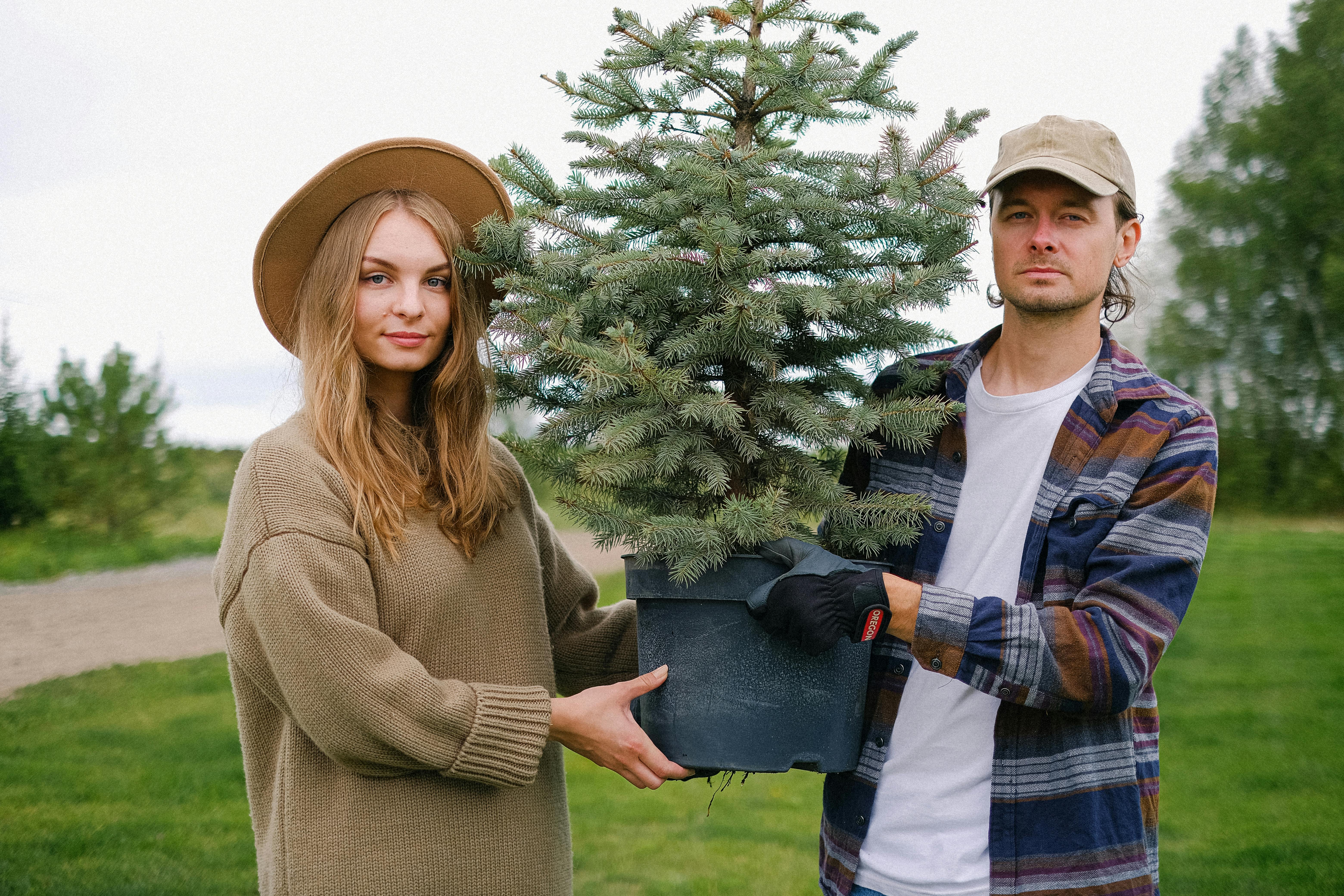 Planting a tree to offset your wedding stationery