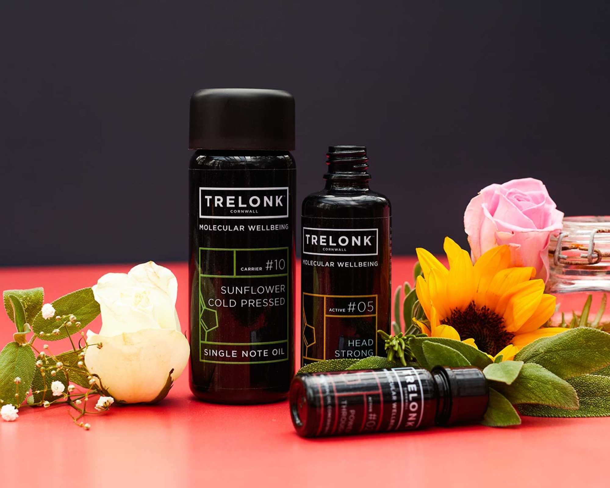 Trelonk Wellbeing (10)