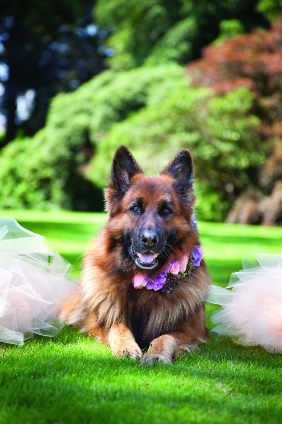 VENETIANORRINGTON Escotenglishsummer074