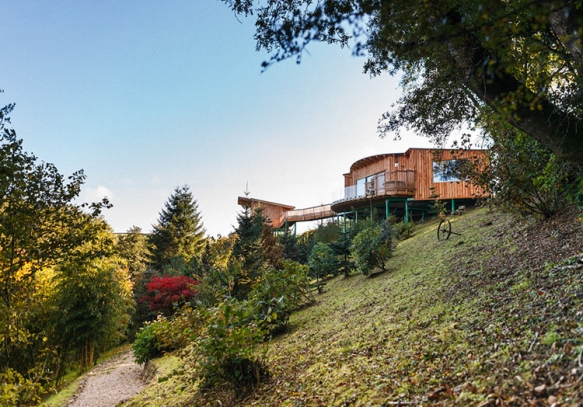 Wedding Venues Devon Tree Top Escape Big