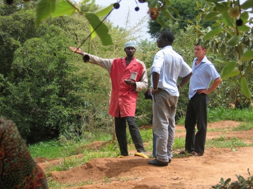 Adventure Honeymoons7