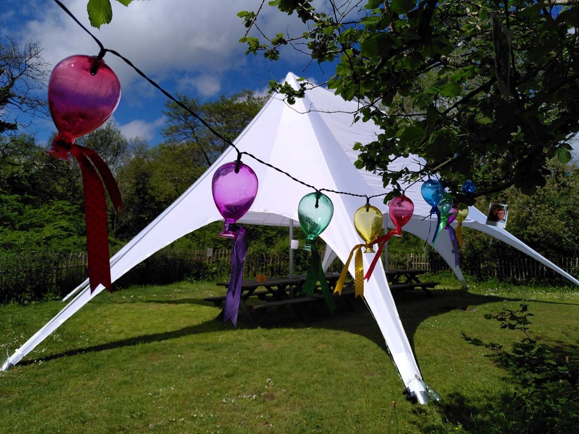 AppleBimages Startent1
