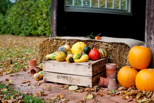 Autumn Wedding Devon20