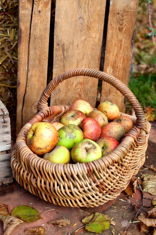 Autumn Wedding Devon21