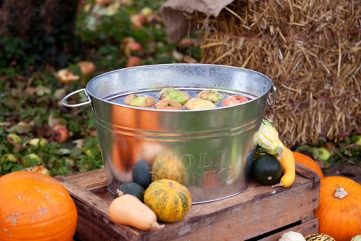 Autumn Wedding Devon7