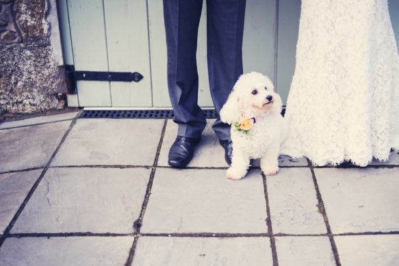 Country Wedding Style Cornwall10