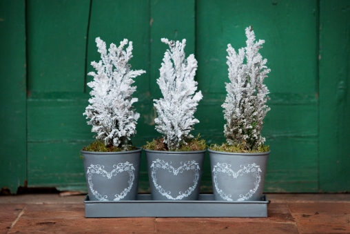 Deerparkwinter2012 116