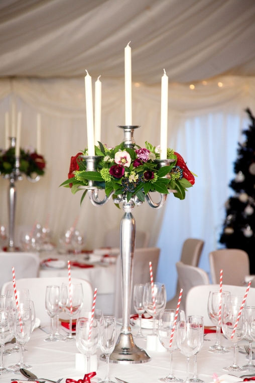 Deerparkwinter2012 121