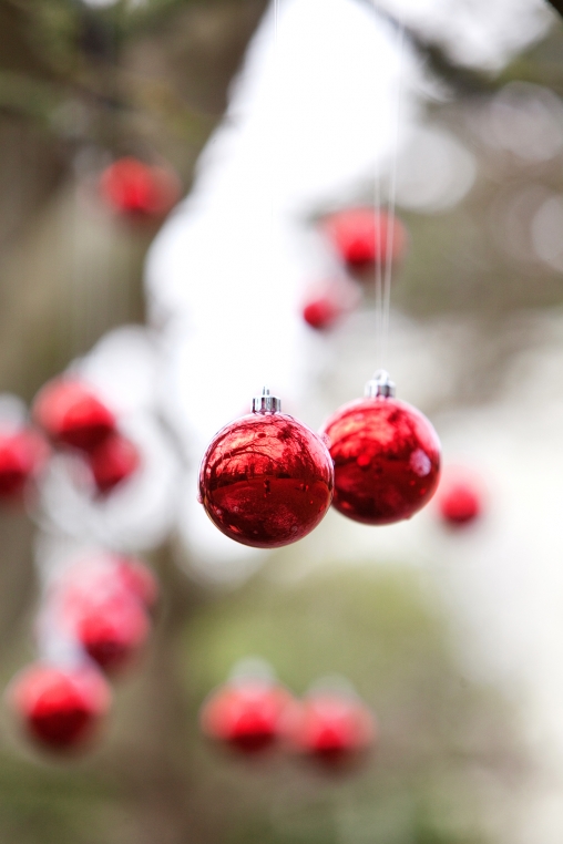 Deerparkwinter2012 64