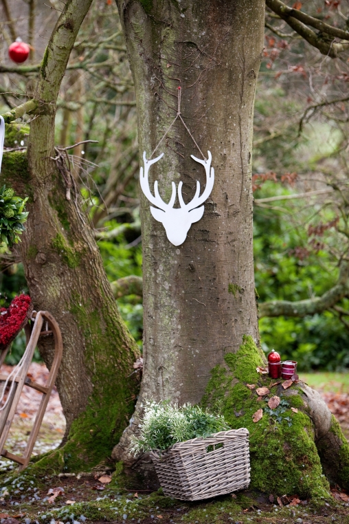 Deerparkwinter2012 75