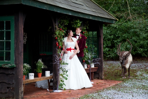 Deerparkwinter2012 94