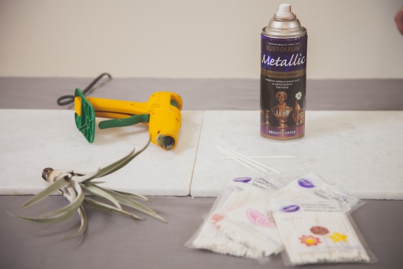 Diy Tutorial Air Plant Terrariums2