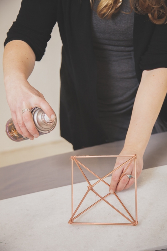 Diy Tutorial Air Plant Terrariums6