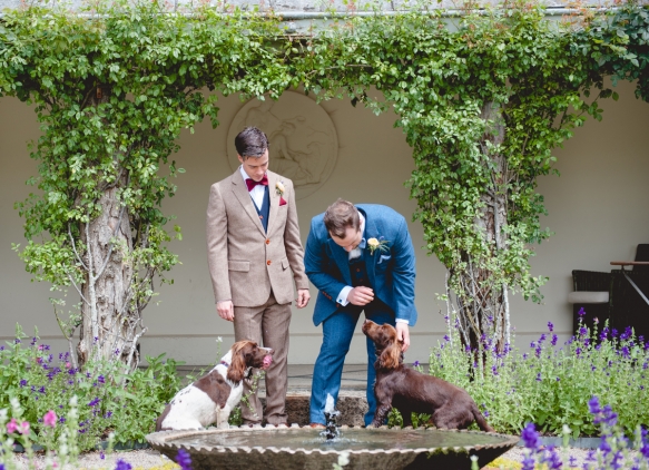 Dogsatweddings1