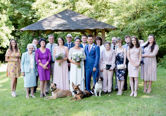 Dogsatweddings4