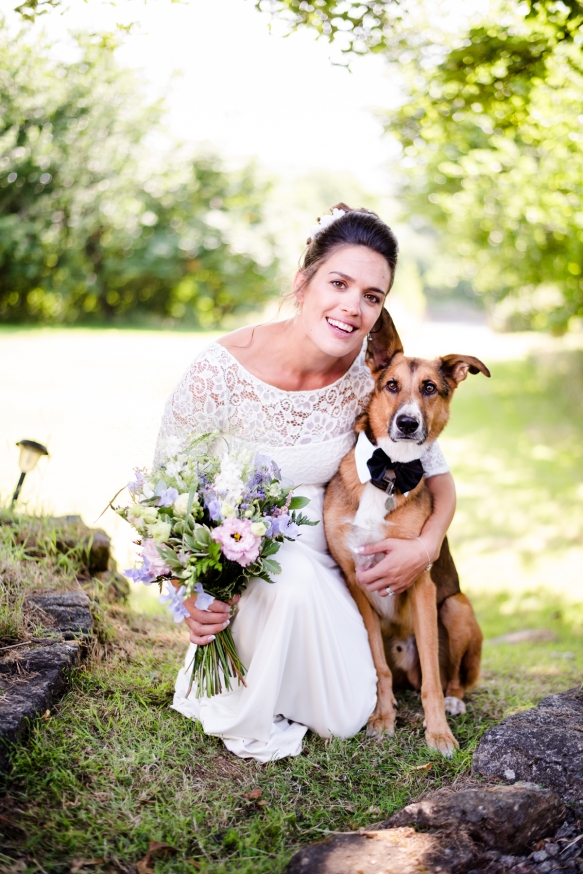 Dogsatweddings5