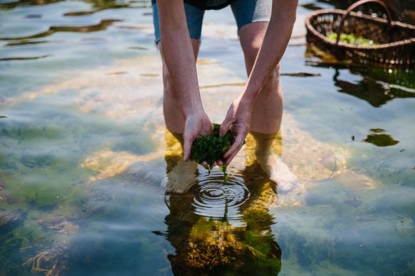 Hen Party Cornwall30