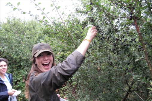 Hen Weekends Cornwall12