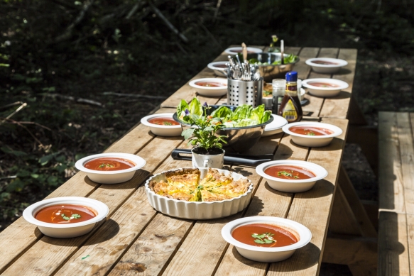 Henpartycornwalldevon16