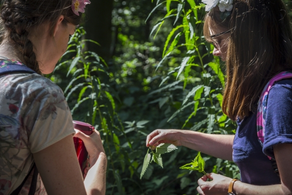 Henpartycornwalldevon20