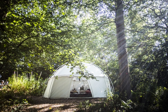 Henpartycornwalldevon7