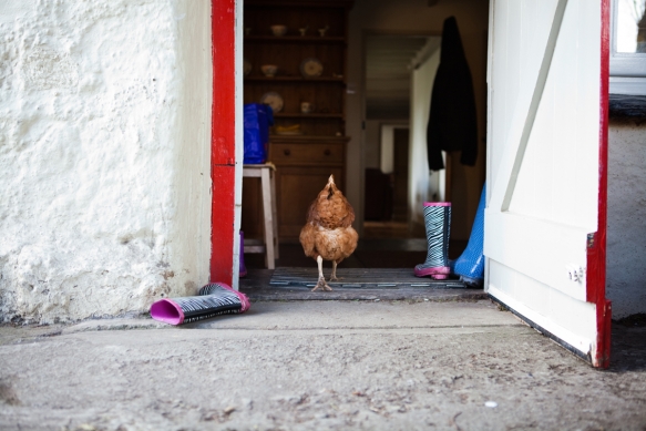 Holidayhoneymooncornwall14