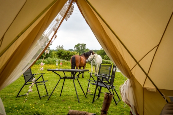 Honeymoons Cornwall21